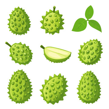 Cute Minimalistic 2D clipart, soursop_fruits_collection isolated on a white background, an element in vector and EPS format, an Icon set