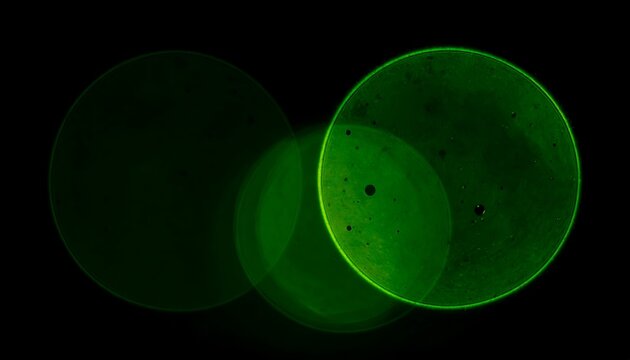 Abstract green circles on black background creating a bokeh effect.