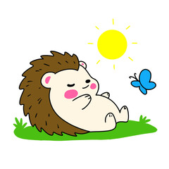 Hedgehog 