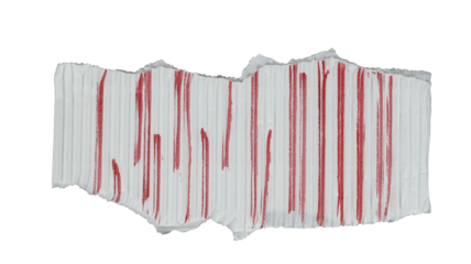 A white cardboard cutout with red lines, an empty plate with copy space. Transparent cutout in PNG format.