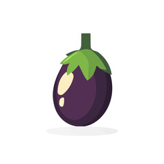 An Imaginary 2D flat icon_whole_eggplant, modern element in vector and EPS format_clean vector_isolated on a white background