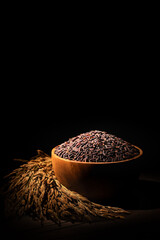 Black rice and ears of rice under the spotlight.Black rice is in a wooden bowl, with some ears of rice placed beside it.