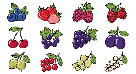 Assortment of Cartoon Fruits Illustration Berries, Cherries, Grapes and Plums