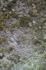 green moss on stone