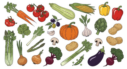 Vibrant hand-drawn collection of various fresh organic vegetables, healthy garden produce, and cooking ingredients for a balanced diet and culinary creations