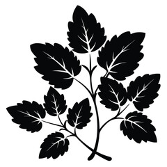 Decorative leaf silhouette showcases detailed venation and textured edges, creating an elegant, naturalistic shape