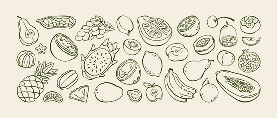 Fototapeta premium Doodle exotic fruit. Different tropical food: fresh oranges, lemons, apples and bananas. Organic pineapple, natural berries and grape. Hand drawn isolated vector illustrations on white background