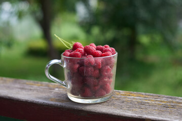 fresh raspberry in a glass