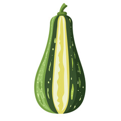 An Imaginary 2D flat icon whole squash, modern element in vector and EPS format_clean vector_isolated on a white background