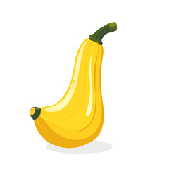 An Imaginary 2D flat icon whole_squash, modern element in vector and EPS format_clean vector_isolated on a white background