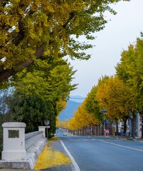 경주 통일전 가는 길
