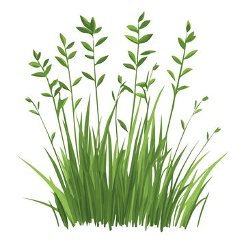 An Imaginary 2D flat icon wild grass field, modern element in vector and EPS format_clean vector_isolated on a white background
