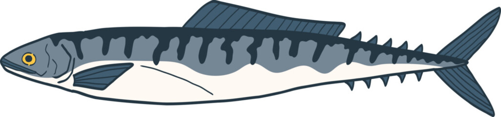 Illustration of a Mackerel Fish