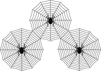 Obraz premium Spider, web, Halloween, arachnid, insect, nature, creepy, scary, spooky, predator, silk, black, wildlife, geometry, pattern, horror, decoration, network, symmetrical, background