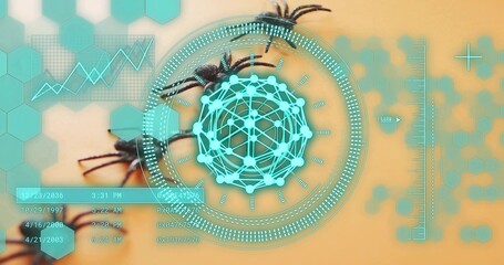 Showing cyan network HUD overlaying closeup brown spiders on lab bench, with hex-grid ruler © vectorfusionart