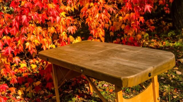 Wooden table stands in the sunlit outdoors, surrounded by vibrant autumn foliage