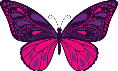 Purple pink butterfly vector illustration, symmetrical wings, decorative patterns, vibrant colors, teardrop shapes, curved lines, artistic insect design