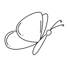 Hand Drawn Butterfly 