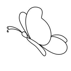 Hand Drawn Butterfly 