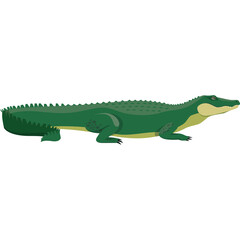 Pixel Art Illustration of a Green Alligator on a Transparent Background Detailed Reptile Showing Scales and Tail