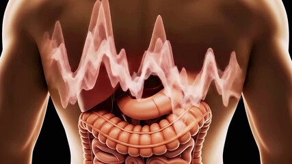 A 3D animation revealing cellular respiration, showing glucose breakdown into ATP energy within a mitochondrion.