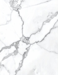 Obraz premium Elegant White Marble Stone Texture with Grey Veins