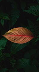 Fototapeta premium A brightly colored tropical leaf, shaped like an arrow, pointing direction deep inside the humid, dense rainforest undergrowth ,leaf ,arrow ,conservation