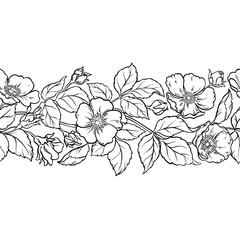 Wild Rose Branch with Flowers and Leaves Outline Horizontal Seamless Pattern. Vector isolated for design or decoration.