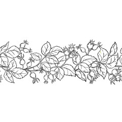 Wild Rose Branch with Berries and Leaves Outline Horizontal Seamless Pattern. Vector isolated for design or decoration.