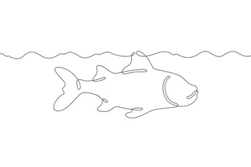 Continuous single line drawing a fish swimming in water. A sea fish. Linear . One continuous line isolated minimalist illustration. Not AI.