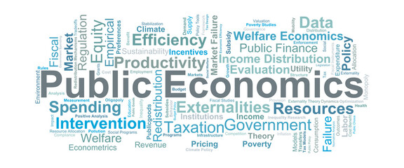 Public Economics Word Cloud. Key concepts on taxation, welfare, market failures, government intervention, and efficiency used in policy design and economic evaluation.