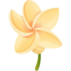 Isolated Cream Colored Flower With Green Stem On Transparent Background And Soft Petal Edges