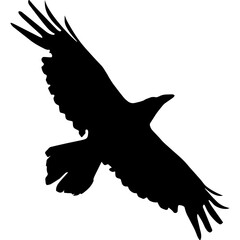 Silhouette of a black crow in mid flight against a transparent background with wings spread wide and detailed feathers creating a dramatic profile for graphic design elements