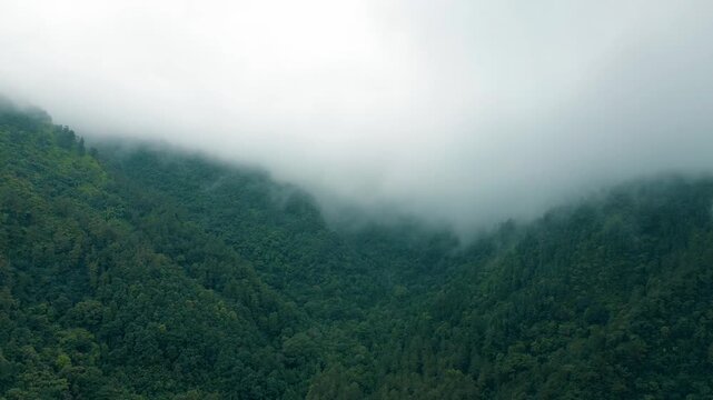A dramatic and cinematic drone view of a dense and lush tropical rainforest valley. Thick fog and low clouds sweep across the cliffs and treetops in Tawangmangu, Central Java, on Saturday, October 25,