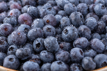 Fresh blueberry background. Blueberry Texture Close Blueberry Antioxidant Organic Superpeed Bowl Concept Healthy Nutrition