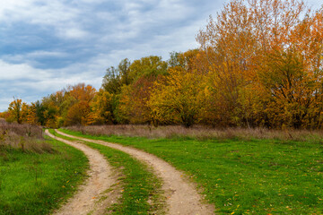 beautiful landscape of country road in autumn forest with bright yellow leaves on trees, cloudy weather