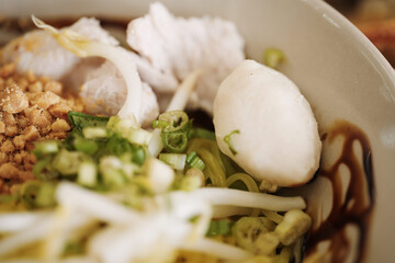 The Dark Broth: Close-up on Traditional Thai Boat Noodle Soup
