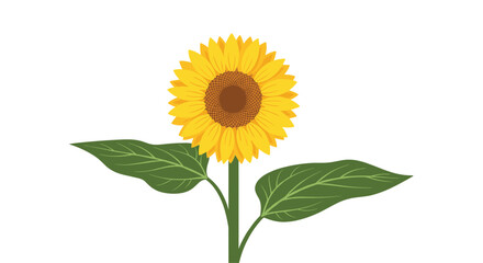 Single beautiful sunflower with a green stem and large leaves standing tall in a simple vector illustration on a white background.