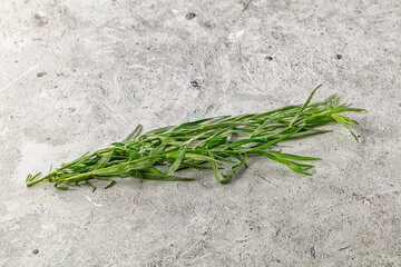 Fresh green tarragon aromatic herb