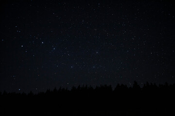 Fototapeta premium starry sky and forest at night