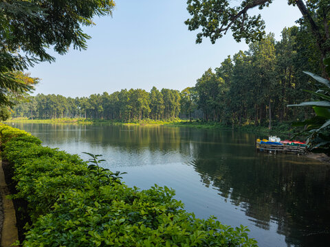 landscape of a pond and a forest around with some ducks and reflection clean unique and latest - Powered by Adobe