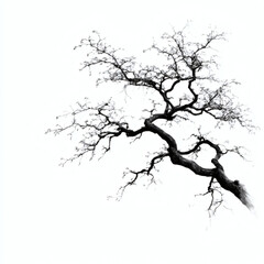 Obraz premium A stark tree silhouette against a bright white background showcasing intricate branches and minimalist design