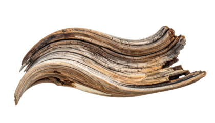 Weathered, wavy piece of aged wood with visible grain on black background