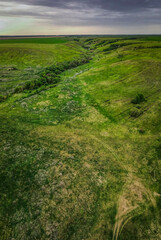 aero landscape of a green summer forest