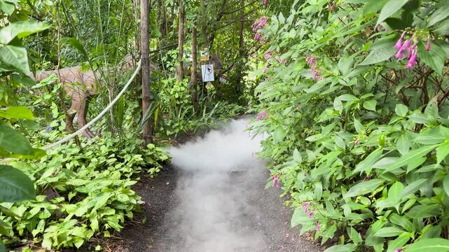 Animatronic Dinosaur in Misty Jungle Path at Park