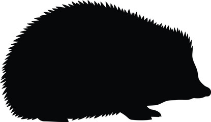 Silhouette hedgehog wildlife nature animal silhouette profile vector © Taslima