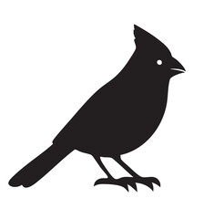 Elegant northern cardinal bird illustration for greeting cards and invitations