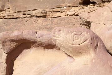 Snake and Petroglyphs, rock inscriptions, at Wadi Rum, Jordan