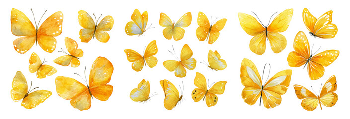 Collection of isolated watercolor butterflies in yellow shades. Bright floral butterflies. Summer and spring romantic elements. Perfect for spring and summer card design. © Narin