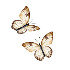 watercolor set of beige butterflies, hand drawn sketch of pastel color spotted flying insects, moth, spring, summer illustration for event, party invitation, mothers day, birthday celebration